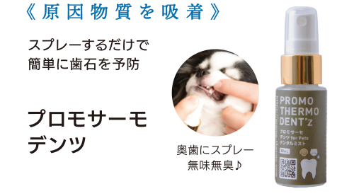 プロモサーモデンツ