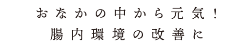 おなかの中から元気!腸内環境の改善に
