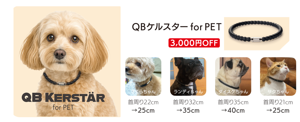 QBケルスター for PET