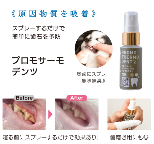 プロモサーモデンツ