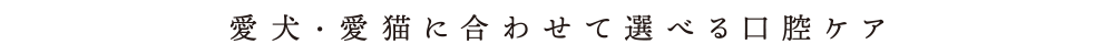 愛大・愛猫に合わせて選べるロ腔ケア