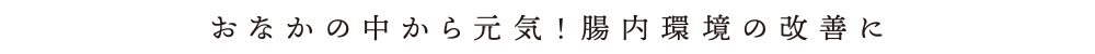 おなかの中から元気!腸内環境の改善に