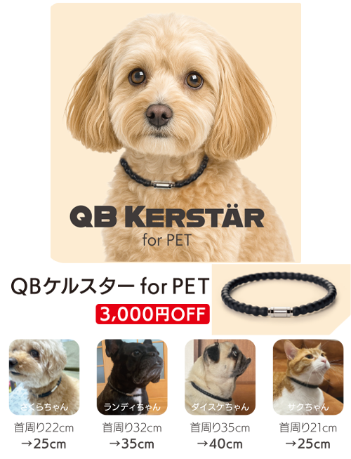 QBケルスター for PET