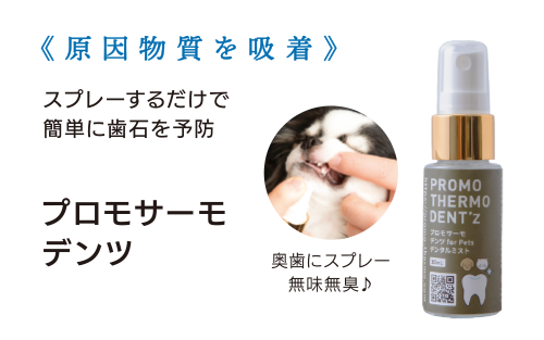 プロモサーモデンツ