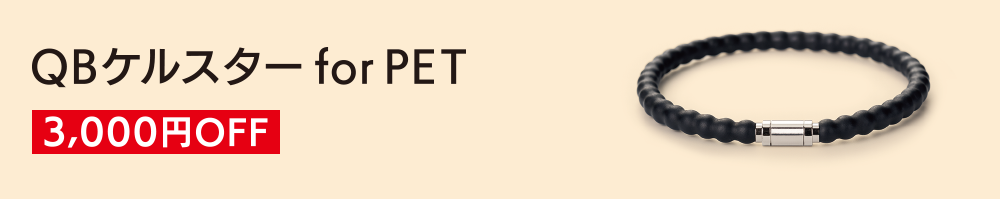 QBケルスタ—forPET