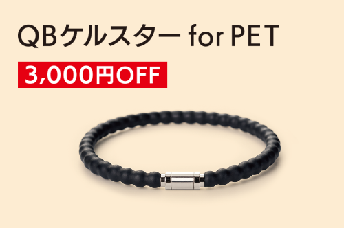 QBケルスタ—forPET